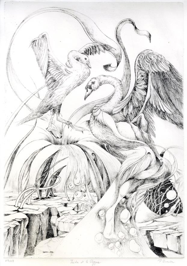 Léda et le Cygne - 50x 40cm - pointe sèche - 