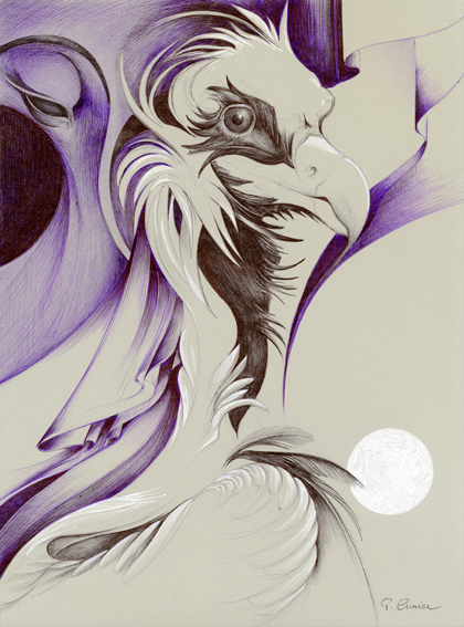 Vautour moine - 40x30cm - 